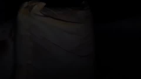 Snapshot of troncq chatting on December 23, 5:22 pm Troncq online show from December 23, 5:22 pm