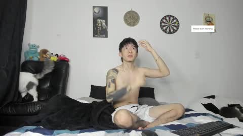 Troy online show from February 3, 11:04 am