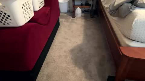 truckdoc26 online show from November 10, 5:51 pm