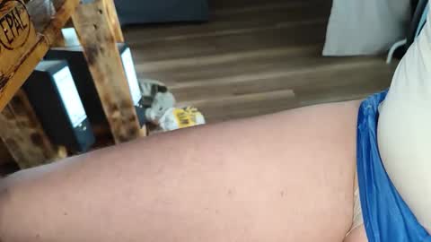 Tobi online show from September 17, 8:15 am