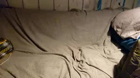 TwistedBlizzy online show from December 21, 2:26 pm