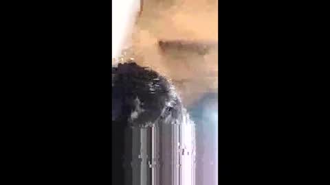 YourDirtyman online show from February 1, 9:57 pm