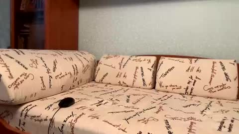 Mylittlecute online show from February 22, 12:29 pm