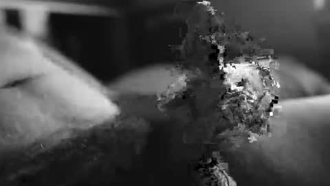 steve online show from December 4, 11:06 am