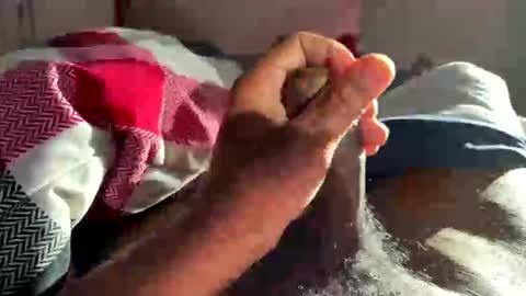 Vafree online show from November 14, 1:23 pm