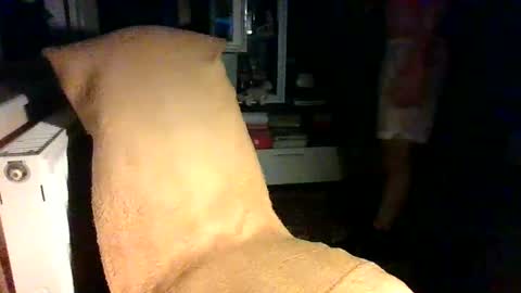 Vasi Sexyi online show from March 11, 7:47 pm