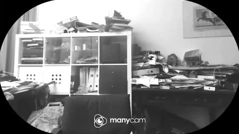 vejun2025 online show from September 11, 7:46 pm