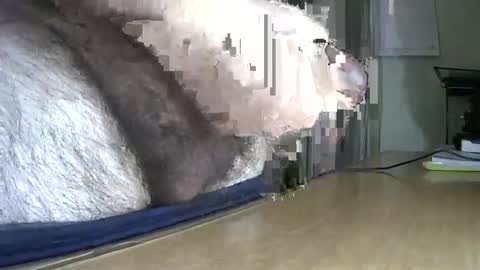 VictorHume online show from March 6, 11:42 pm