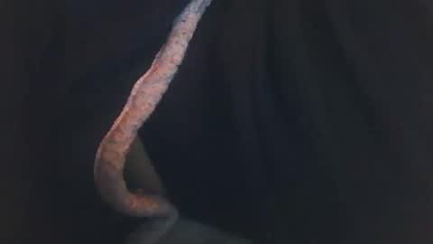 vicvictoree online show from December 14, 2:07 am