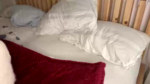 Vince online show from February 1, 10:23 pm