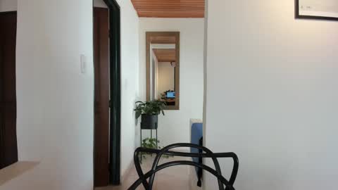 Vito Ferrer online show from February 7, 2:47 pm