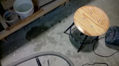 Viv online show from February 6, 10:39 pm