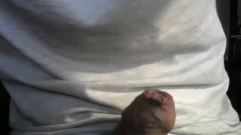 volcenis online show from December 3, 11:22 pm