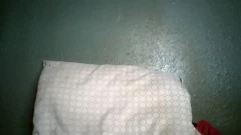 Champion Lover online show from January 7, 5:29 pm