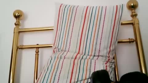 ghhhgh online show from January 25, 1:41 pm