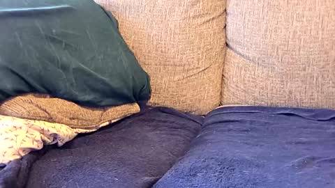 whorekneeweeny online show from December 15, 4:26 pm