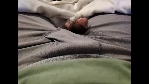 Wild-at-heart online show from February 21, 7:22 am