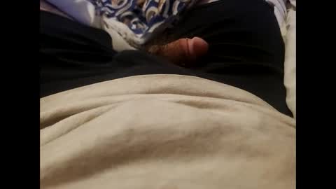 Wild-at-heart online show from January 11, 8:33 am