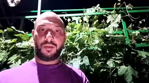 wildcrazypussy online show from July 17, 10:49 pm