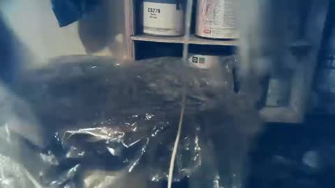 wildman6 online show from February 21, 9:22 pm