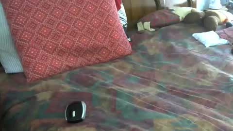 Willamyth online show from March 30, 5:08 am