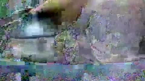 willsex666 online show from March 25, 1:42 am