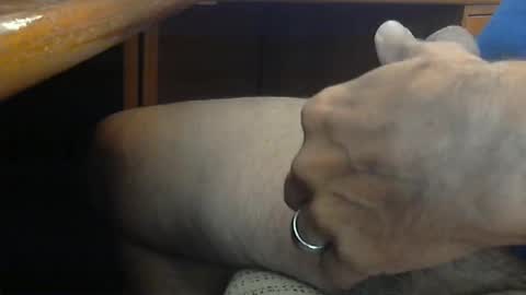 Wineman88886 online show from April 24, 4:31 pm