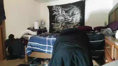 wolfman79 online show from January 21, 11:40 am