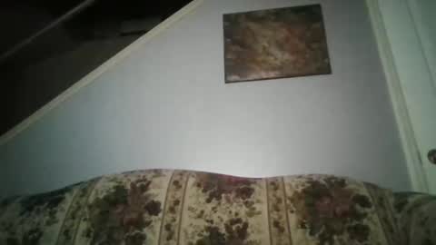 BONER DONOR online show from February 6, 8:07 am