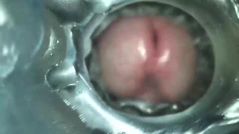 xoxowtf online show from February 12, 3:27 pm