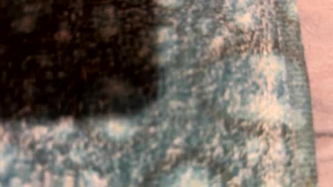 xtclover85 online show from December 20, 12:41 am