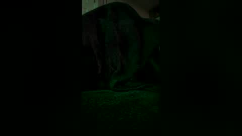 xvphofrex online show from February 4, 4:07 am