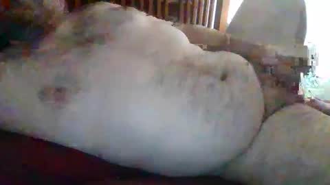 yavinnsexual online show from April 21, 2:26 am