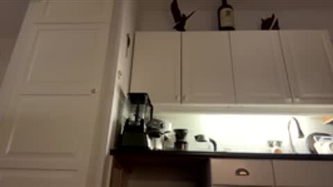 yossef online show from November 30, 11:34 am