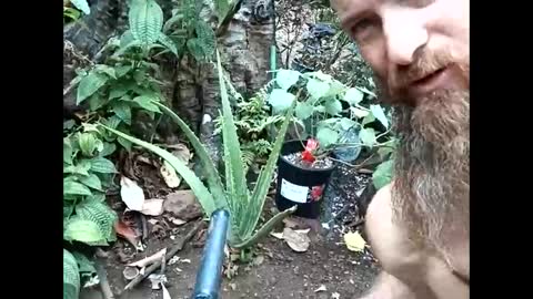 youllfall4me online show from October 28, 12:46 am