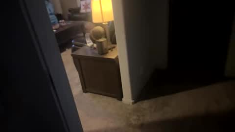 your_babychris online show from December 21, 4:31 am