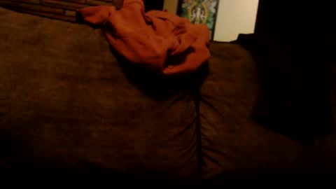 ytsim58 online show from February 5, 1:18 pm