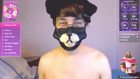 the puppy boy online show from May 28, 3:37 am