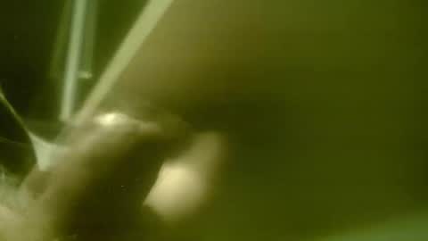 zaboski4 online show from March 7, 8:34 am