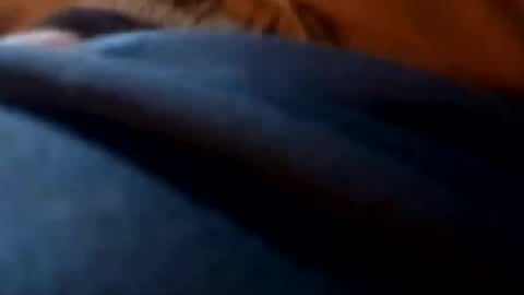 bigdickdaddy online show from May 18, 5:50 pm