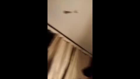 zombiekillerpez online show from April 19, 3:28 am