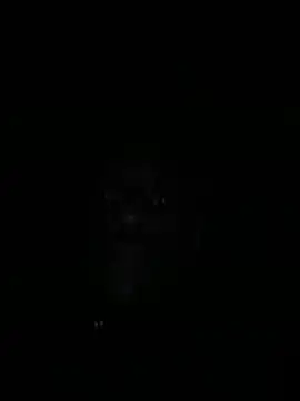 Annonymous607 online show from November 9, 8:07 am