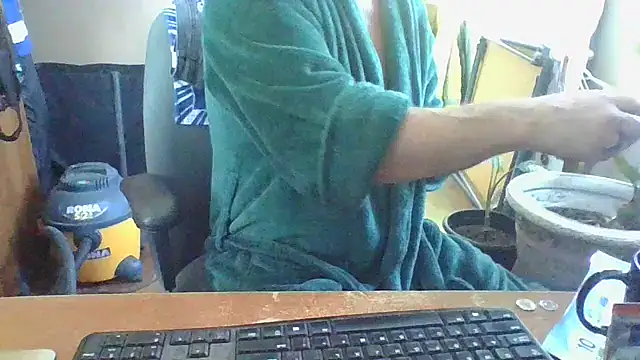 Daremeknot online show from February 1, 3:18 pm