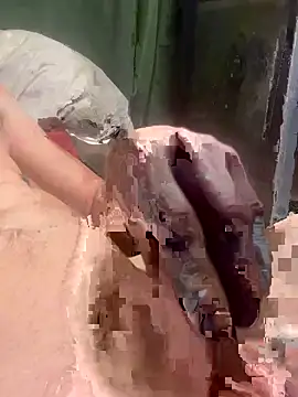 Followthepiper online show from January 17, 10:18 am