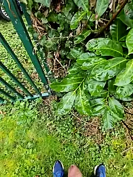 hairydickfr online show from February 27, 3:22 pm