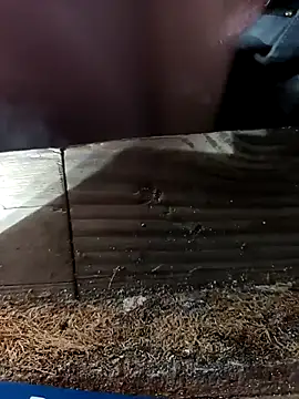 Rico-chow online show from October 13, 4:02 pm