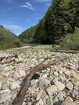 artXhibitor online show from September 14, 1:24 pm