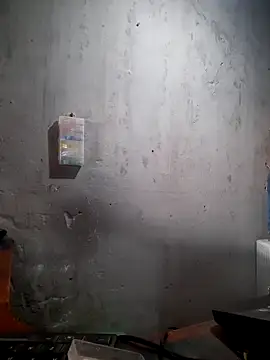 hecwil8 online show from February 27, 1:33 pm