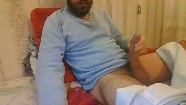 tozebrito hd online show from November 16, 10:39 am