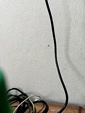 Tujo islam online show from September 17, 4:57 am